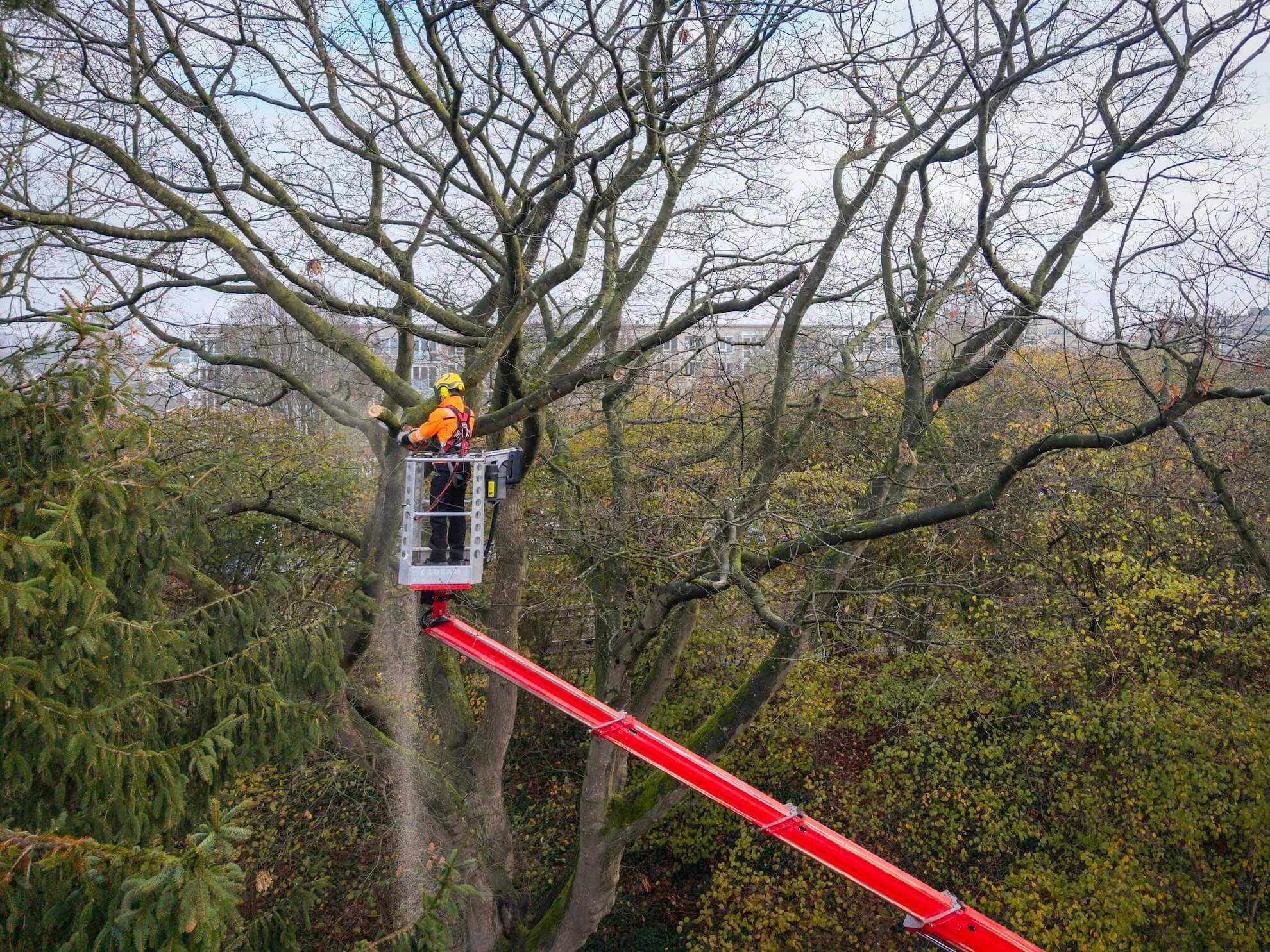 Twente Milieu Beheer Openbare Ruimte