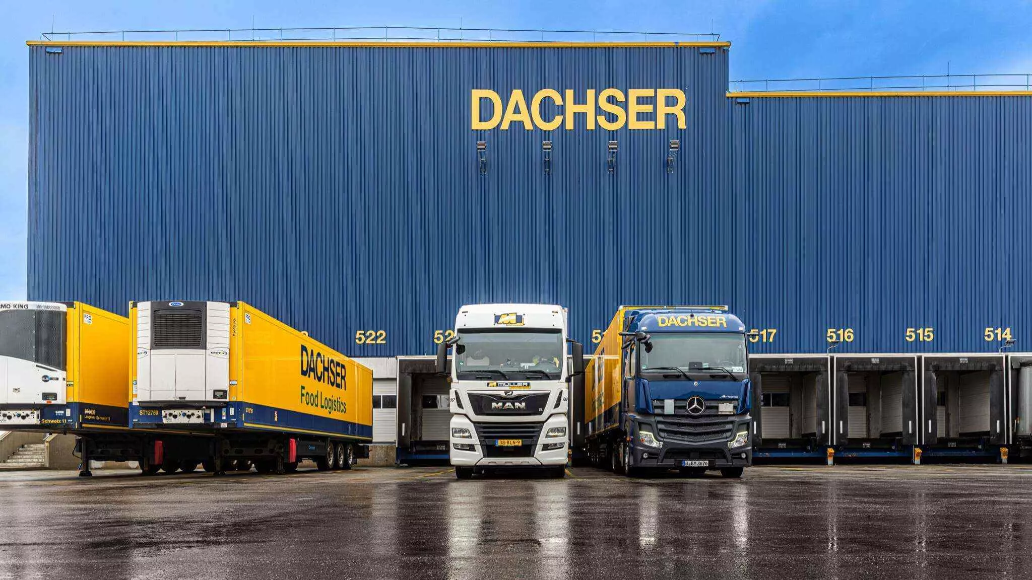 Muller Dachser
