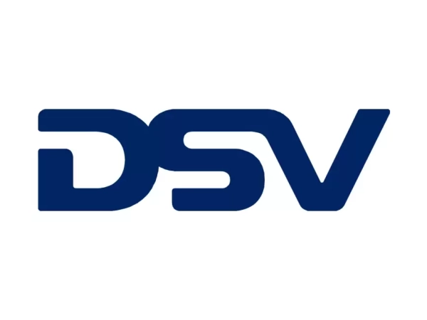 Dsv logo